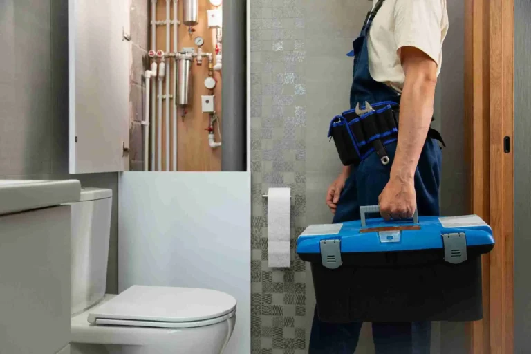 Toilet Services in the San Francisco Bay Area Toilet Plumbing