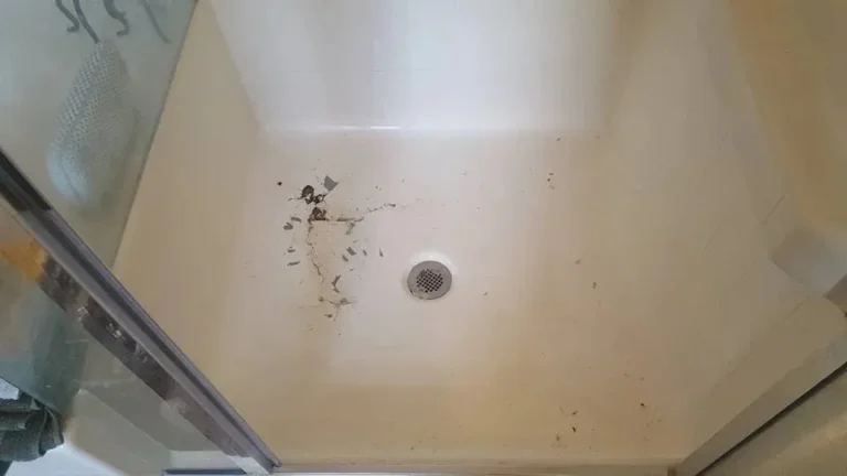 Crack, Chip, and Surface Refinishing
