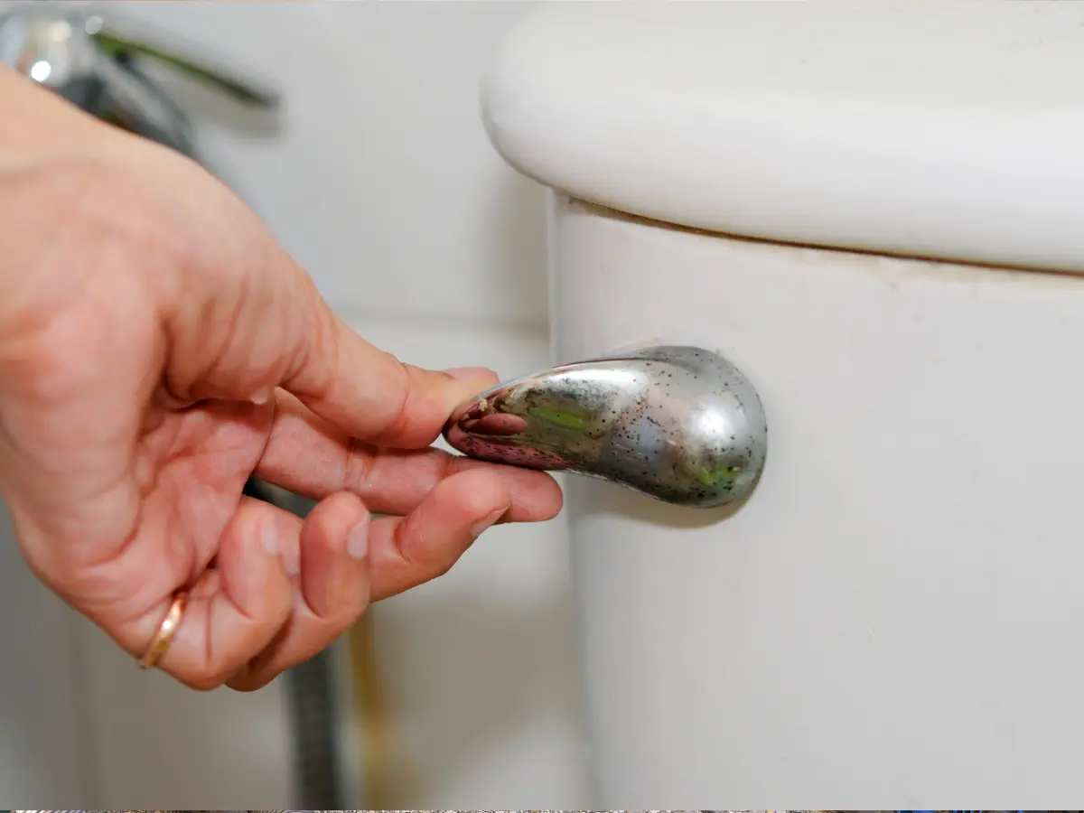 Flush Only Safe Items