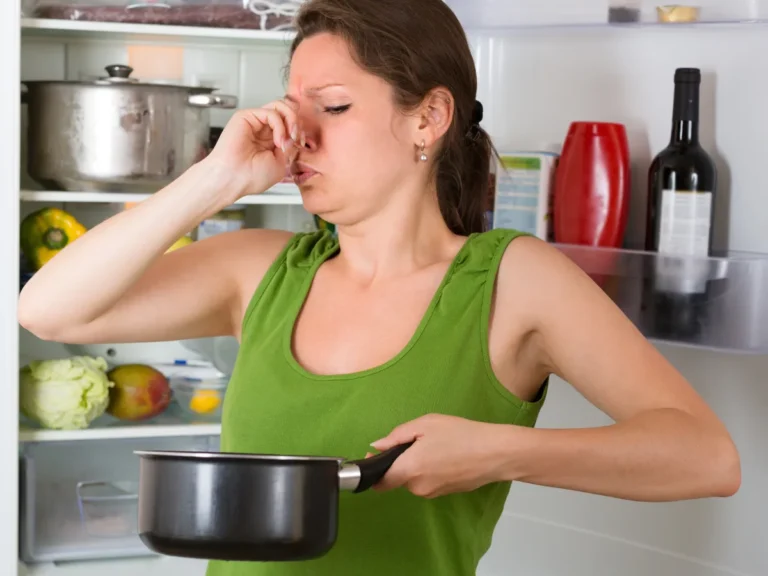 8 Signs of Clogged Sewer Line Foul Odor Near Drains