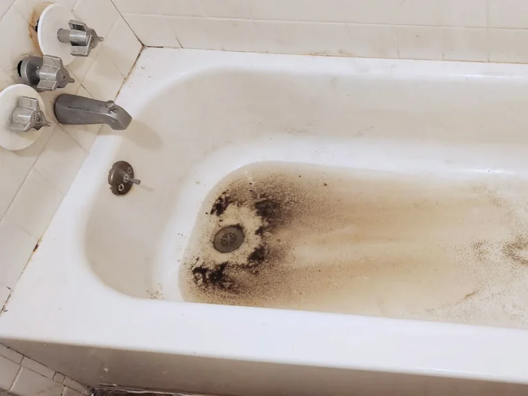 8 Signs of Clogged Sewer Line Sewage Backup in Bathtub or Shower