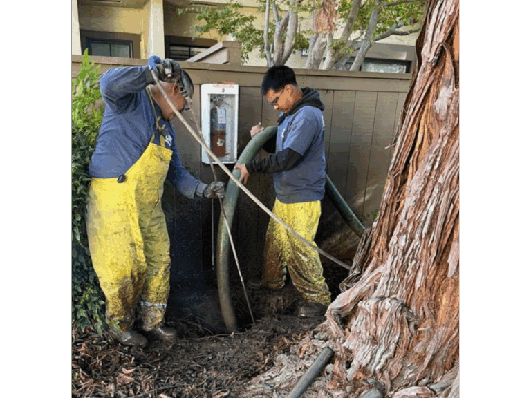 sewer pipe under the fence