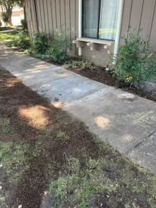 Sewer Line Replacement San Jose Sewer Repair