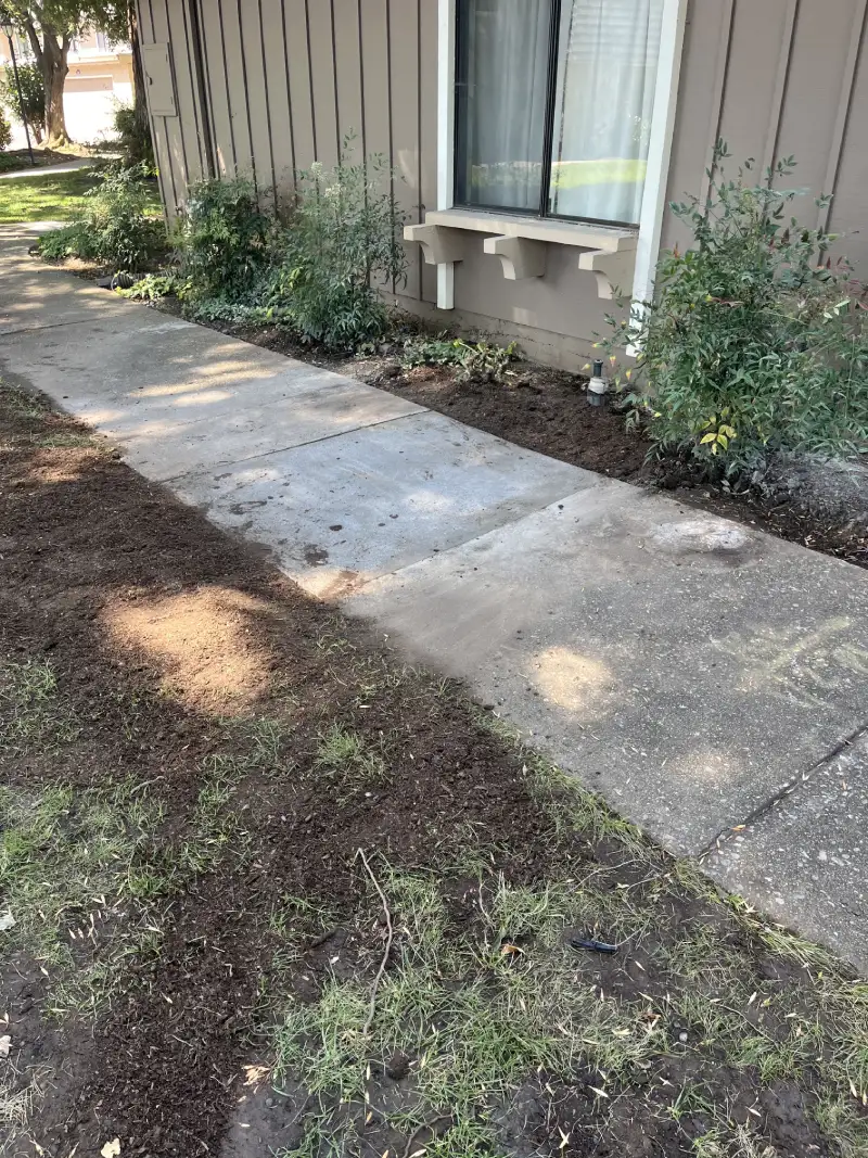 sewer repair in san jose