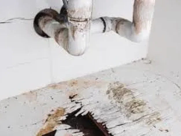 water Stains Or Mold water Stains Or Mold